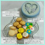 画像2: ジンジャーシトロン (2)