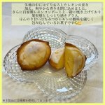 画像2: やまこはちみつレモンケーキ【8月7日・8月8日発送分】 (2)